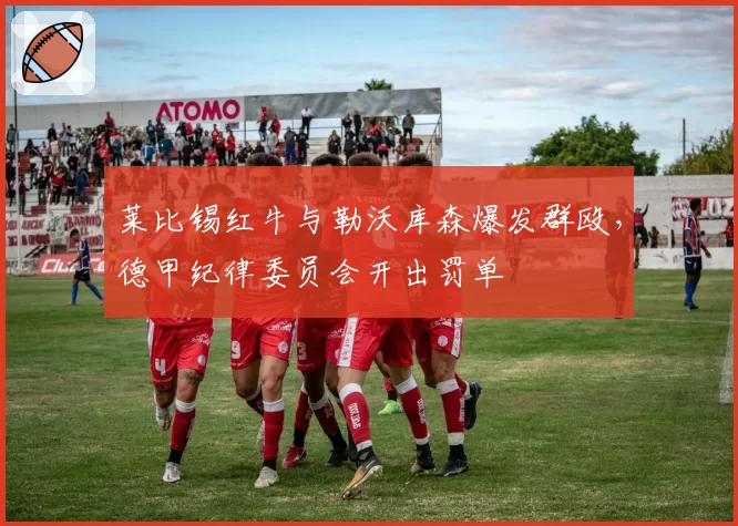 莱比锡红牛与勒沃库森爆发群殴,德甲纪律委员会开出罚单