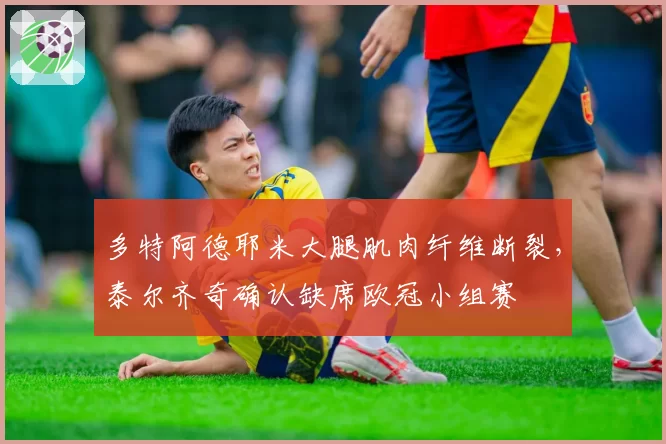 多特阿德耶米大腿肌肉纤维断裂,泰尔齐奇确认缺席欧冠小组赛