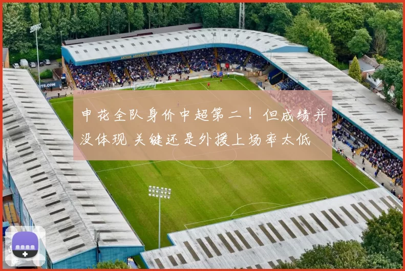 申花全队身价中超第二 !但成绩并没体现 关键还是外援上场率太低