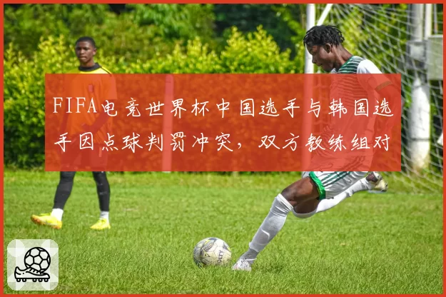 FIFA电竞世界杯中国选手与韩国选手因点球判罚冲突，双方教练组对峙现场