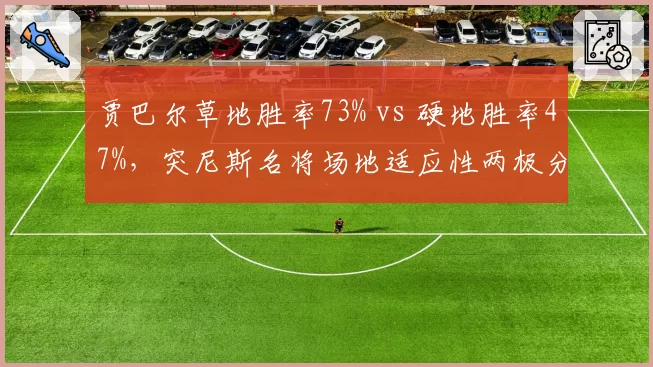 贾巴尔草地胜率73% vs 硬地胜率47%，突尼斯名将场地适应性两极分化