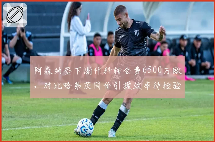 阿森纳签下谢什科转会费6500万欧，对比哈弗茨同价引援效率待检验